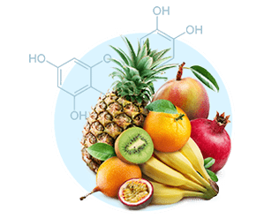 Quercetin icon