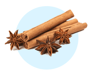 Cinnamon icon