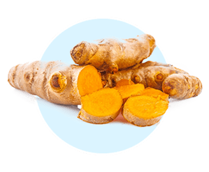 Turmeric icon
