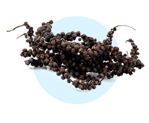Piperine icon